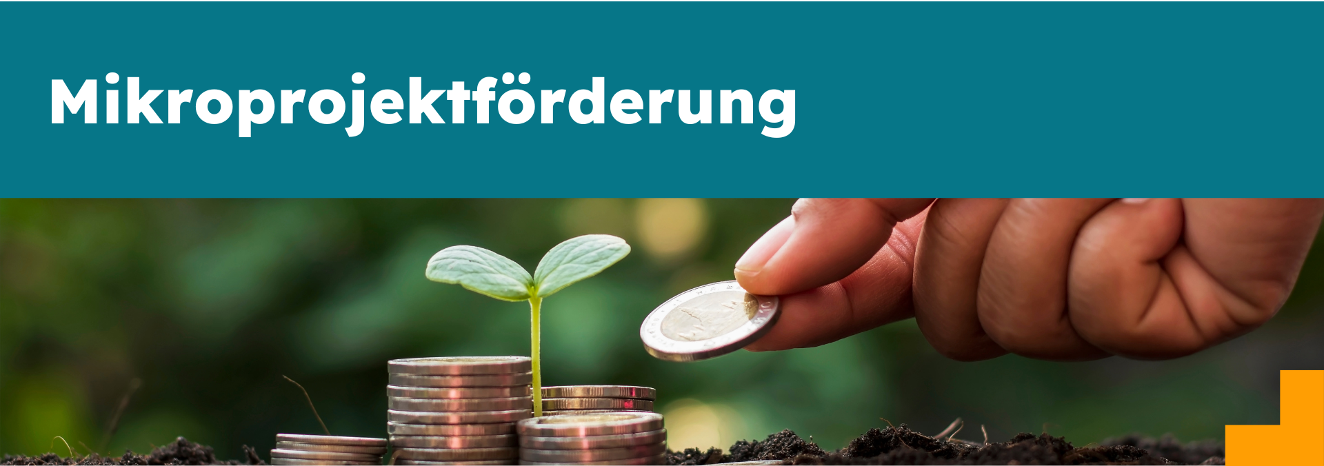 Förderprozess für Mikroprojekte bei HoR