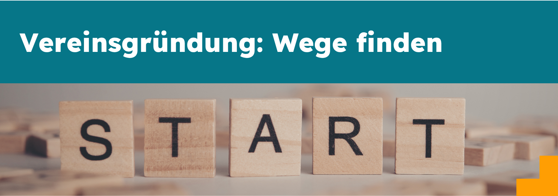 Schulung: „Vereinsgründung: Wege finden“